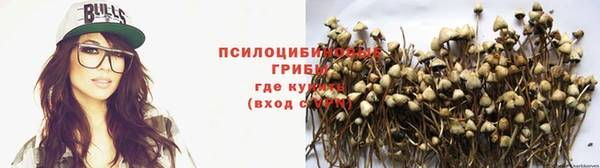 марки nbome Аркадак