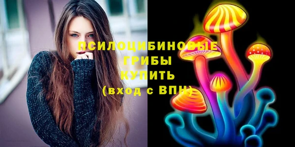 apvp Белокуриха