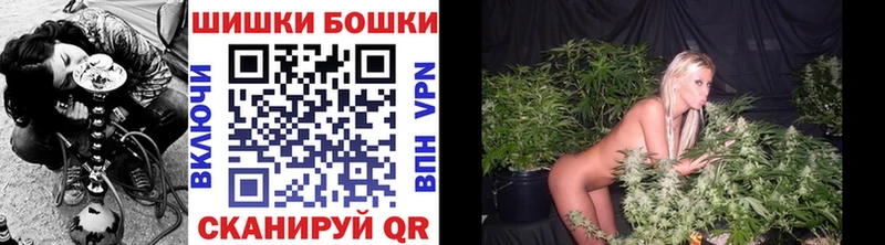 Купить закладки  Славгород  Бошки Шишки конопля 